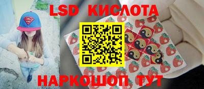дмт Кимры