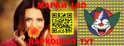 гидра Кингисепп