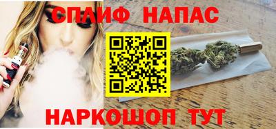 гидра Кингисепп