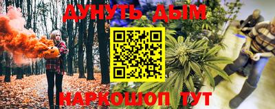 гидра Кингисепп
