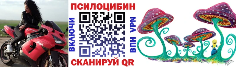 Псилоцибиновые грибы ЛСД  хочу   hydra ссылка  Норильск 