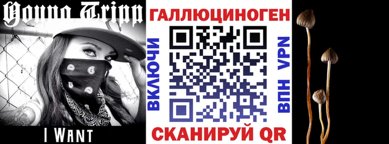Псилоцибиновые грибы мицелий Норильск